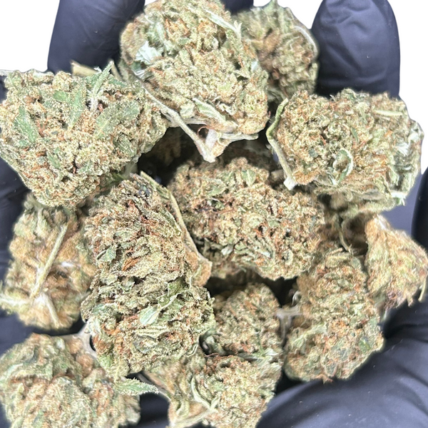 FLEUR WHITE WIDOW HCE